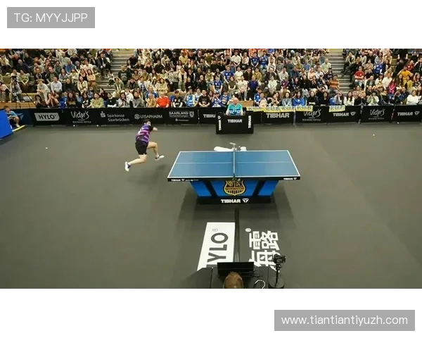 中欧体育app客服支持的赛事信息查询与实时比分服务指南